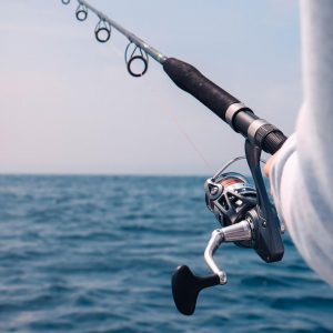 Fall Activities Quiz Go fishing