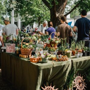Fall Activities Quiz Head to a farmers\' market