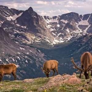 Summer Trivia Quiz: Can You Handle The Heat? 😎🔥 Rocky Mountains