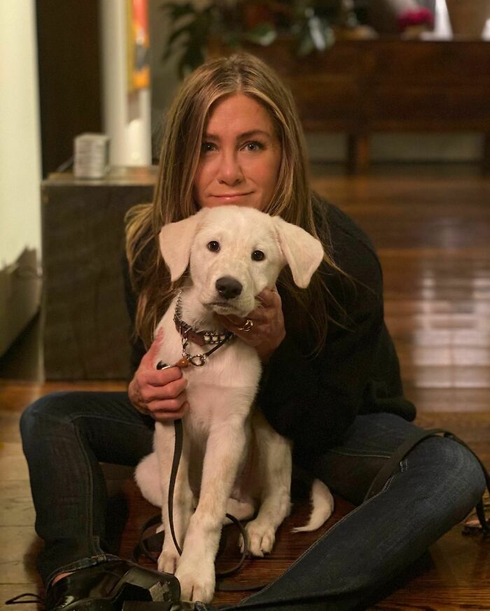 You got: Jennifer Aniston! 🐕 Help These Celebrities Adopt a Dog to Find Out Who Your Celeb BFF Is