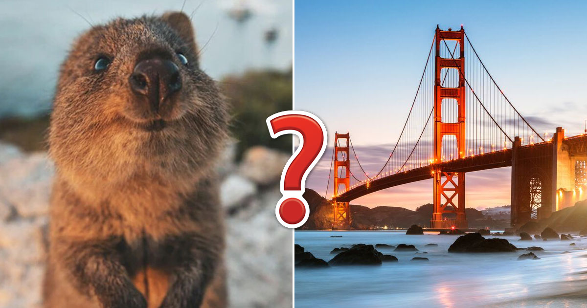 If You Can Get 19 on This 25-Question Mixed Trivia Quiz, You're Certified Genius