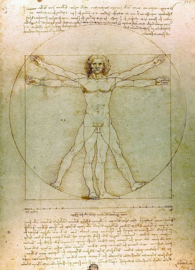 Only Someone Who Eats, Sleeps, And Breathes Trivia Can Pass This Quiz Vitruvian Man Four arms