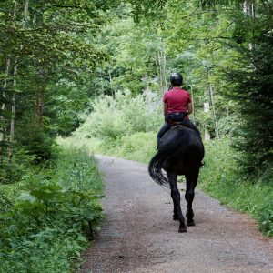Try Out a Bunch of New Hobbies and I Will Guess If You’re ☀️ An Early Bird or a Night Owl 🌚 Horseback riding