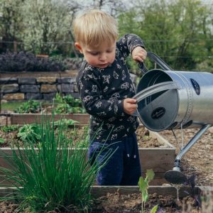 Which TV Mom Are You? Quiz Gardening
