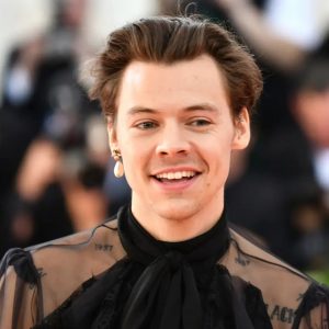 Choose a Famous Person for Different Scenarios and We’ll Determine How Street Smart You Are Harry Styles