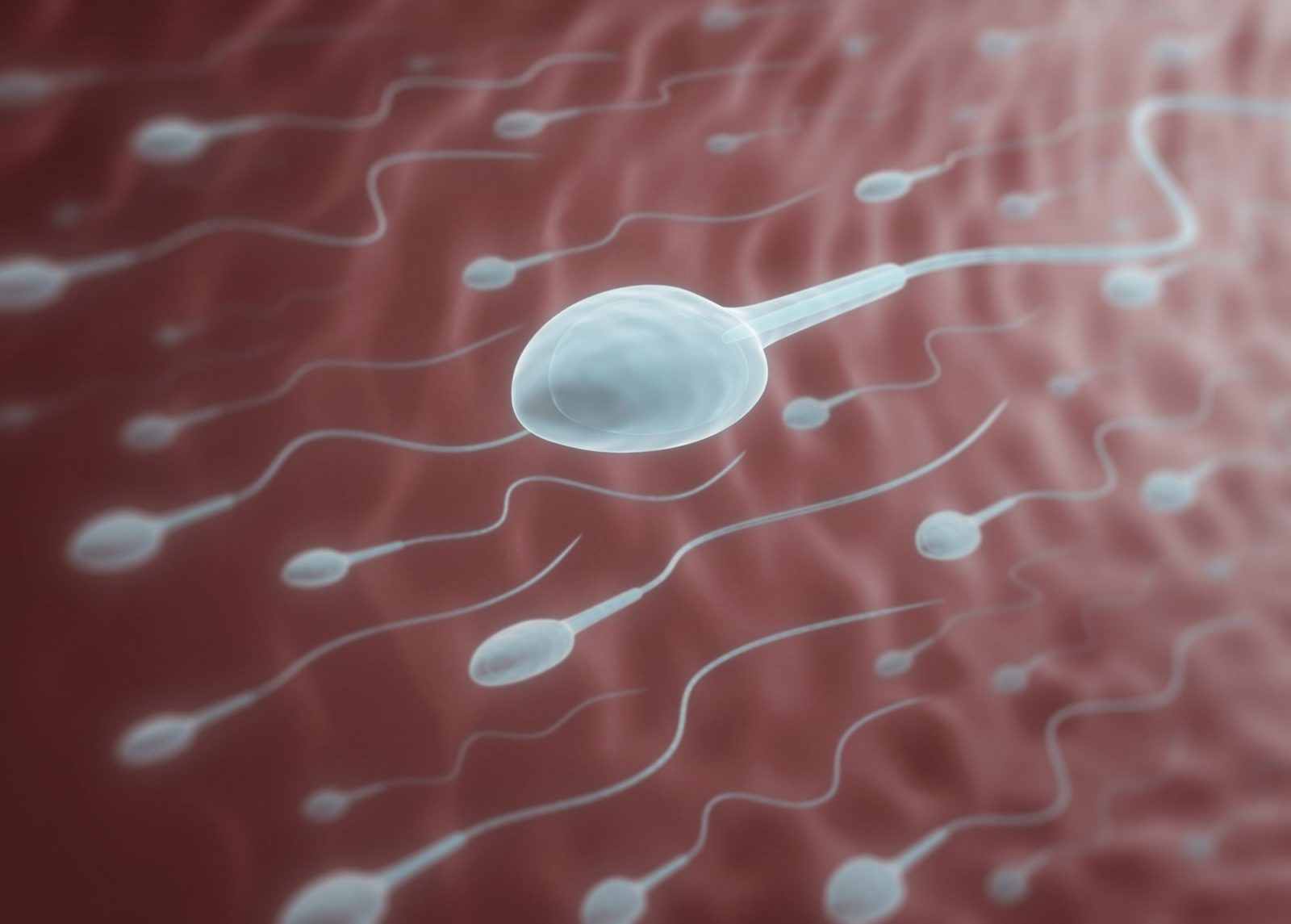 Half of the Population Can’t Pass This 🌍 Science Quiz With Flying Colors — Can You Do It? Sperm
