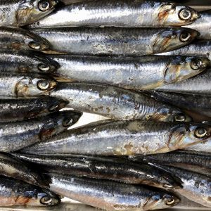 If You Want to Know How ❤️ Romantic You Are, Pick Some Unpopular Foods to Find Out Anchovies