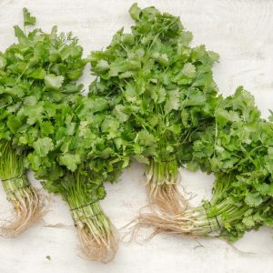 Food Personality Quiz Cilantro