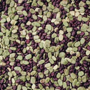 If You Can Classify Foods, Your Taste Buds Are Elite Quiz Beans