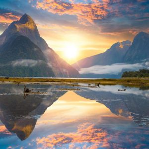 Create a Travel Bucket List ✈️ to Determine What Fantasy World You Are Most Suited for Milford Sound, New Zealand