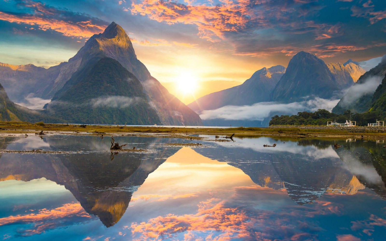 We’ll Give You an 🌮 International Food to Try Based on the ✈️ Places You Would Rather Visit Milford Sound, New Zealand