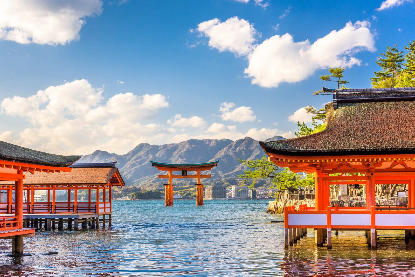 ✈️ Travel the World from “A” to “Z” to Find Out the 🌴 Underrated Country You’re Destined to Visit Japan Shintoism Shrine