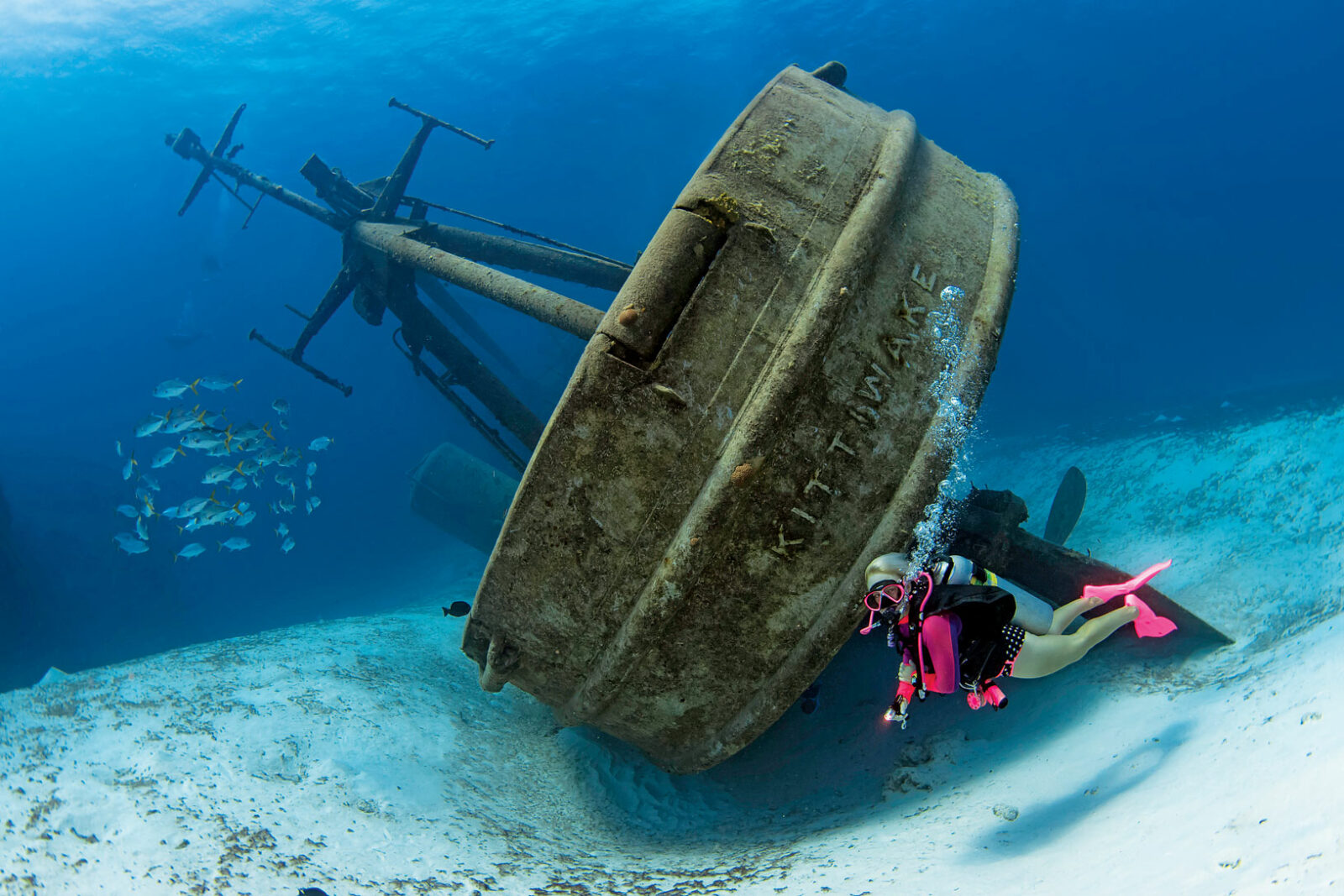 Friday The 13th Quiz Cayman Islands Kittiwake shipwreck