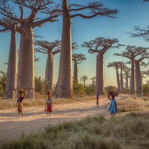 Create a Travel Bucket List ✈️ to Determine What Fantasy World You Are Most Suited for Madagascar