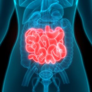 Stop Everything & See If You Can Ace This 24-Question General Knowledge Quiz Digestive system