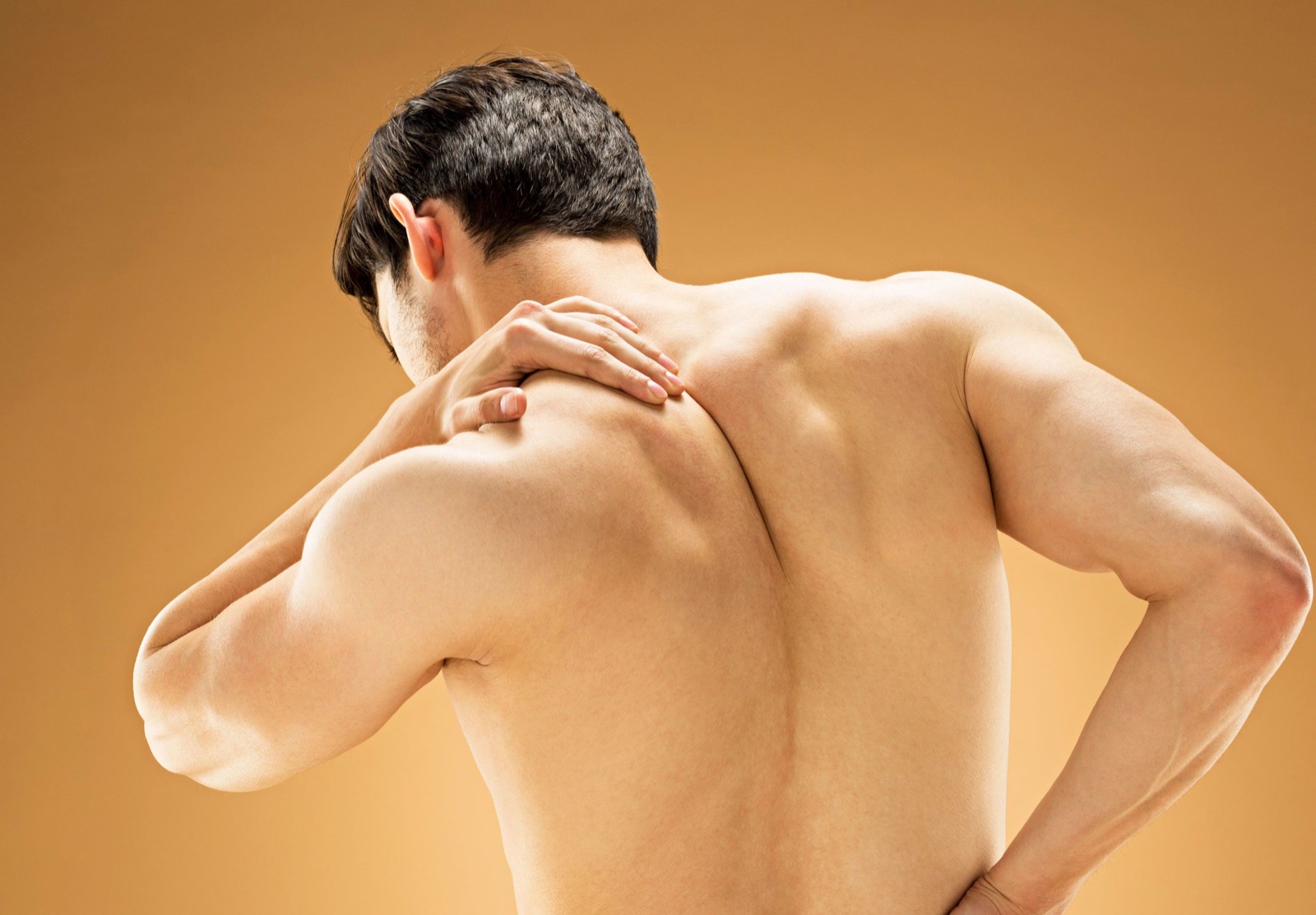 If You Can Get 15 on This Quiz on Your First Try, You Definitely Know a Lot About Human Body shoulder blade