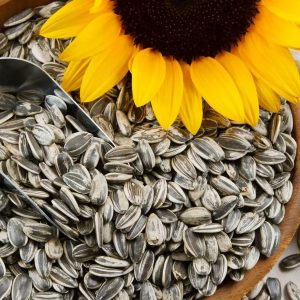 If You Can Get 15/20 on This Quiz on Your First Try, You Definitely Know a Lot About the Human Body Sunflower seeds