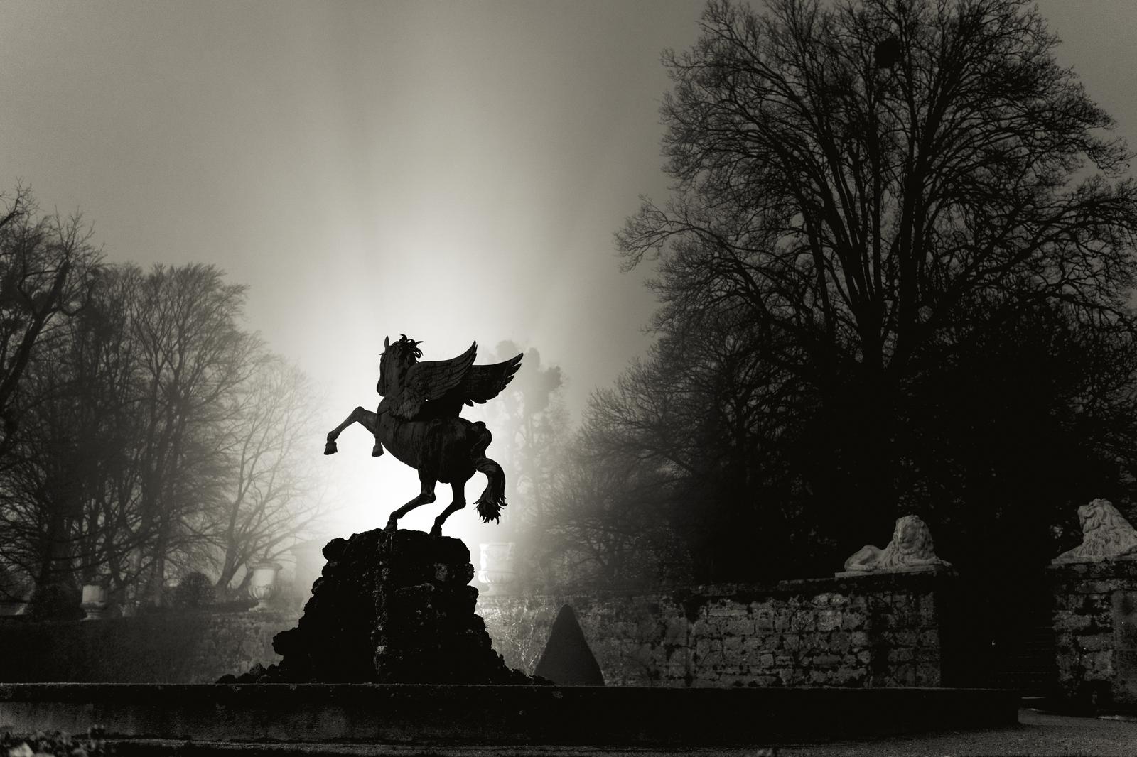 Roman Or Greek Trivia Quiz Pegasus