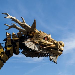 Are You A Mermaid, A Fairy, A Vampire, Or A Witch? Quiz Dragon
