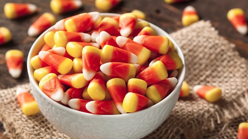 You got: Candy Corn! Gobble up Some Fall-Colored Foods and I’ll Tell You Which Fall Item 🍁 Is Your 100% Match