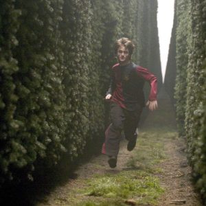 Which Harry Potter Character Are You? Quiz The maze