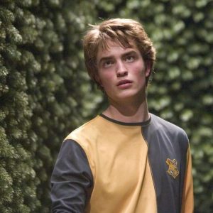 Guess The Harry Potter Emoji Quiz Cedric Diggory