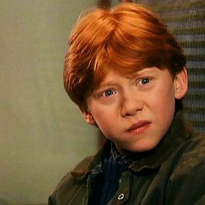 🪄 Take a Trip Through the Harry Potter World to Find Out What Magical Being You Were in a Past Life Ron Weasley