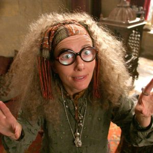 Wizarding World Quiz Sybill Trelawney
