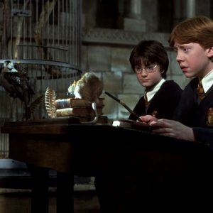 Harry Potter Wand Quiz Transfiguration