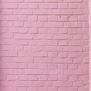 Missing Colors Place Quiz Pink