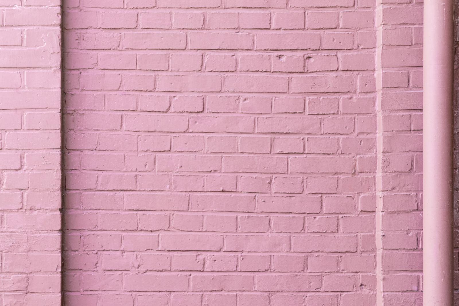 Pink Trivia Quiz Pink wall