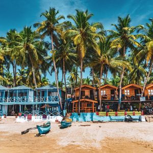 ✈️ Travel the World from “A” to “Z” to Find Out the 🌴 Underrated Country You’re Destined to Visit Goa, India