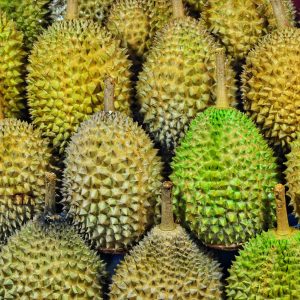 Polarizing Food Afterlife Quiz Durian