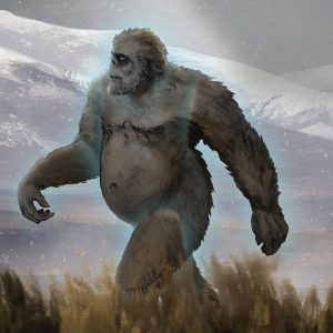 Alphabet Animals Pet Quiz Yeti