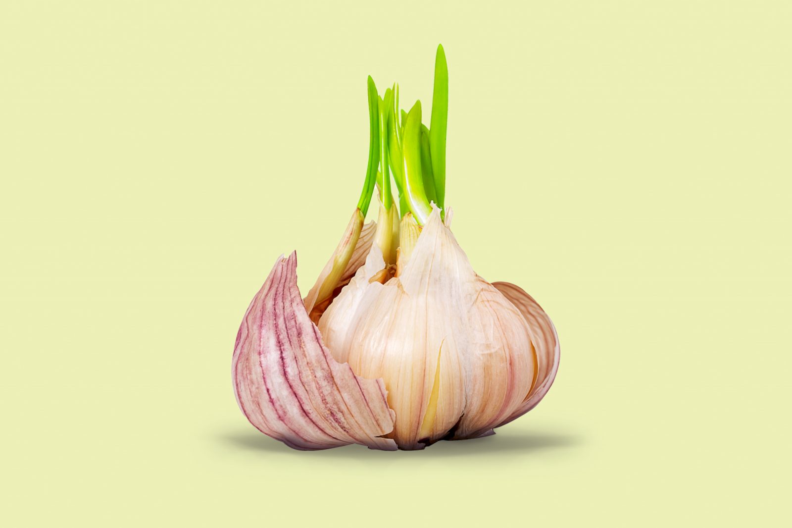 Food Alphabet Quiz 🍴! What Is Your Ideal Country? 🌍 Garlic