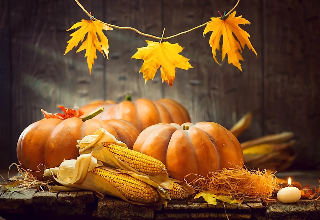Fruit Trivia Quiz Autumn Pumpkin Harvest
