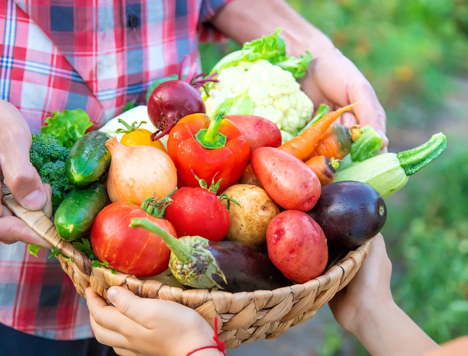 Food Quiz! Can We Guess Your Age From Your Food Choices? Vegetables veggies Harvest