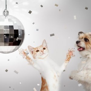 Which New Year's Eve Countdown Are You? Quiz Whatever\'s playing