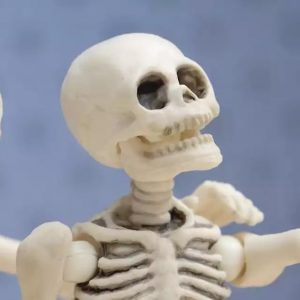 Which Haunted House Are You? Quiz Skeleton
