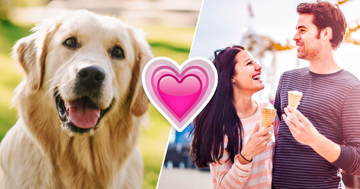 Plan Your Ideal Date to Know Which Dog Breed Suits You … Quiz