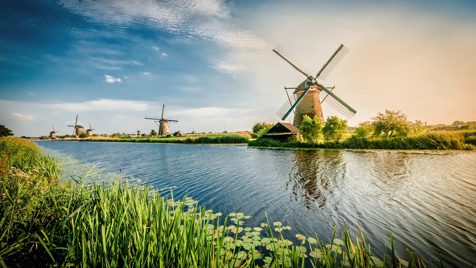 Nobody Can Get Full Marks on This 24-Question Geography Test Except for Legitimate Scholars — Let’s See If You Can Do It Netherlands windmill