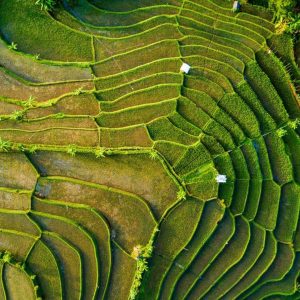This City-Country Matching Quiz Gets Progressively Harder With Each Question – Can You Keep up With It? Indonesia