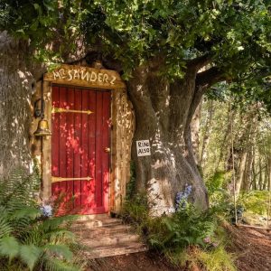Stop Everything & Play This Travel Quiz To Know If You're Introvert Or Extrovert Treehouse