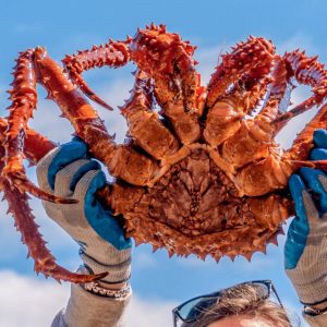 This 22-Question Random Knowledge Test Will Reveal If You Know a Little or a Lot Alaskan king crab