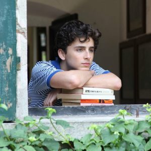 Build A Picnic & We'll Predict Your Summer Love Story Quiz Call Me by Your Name