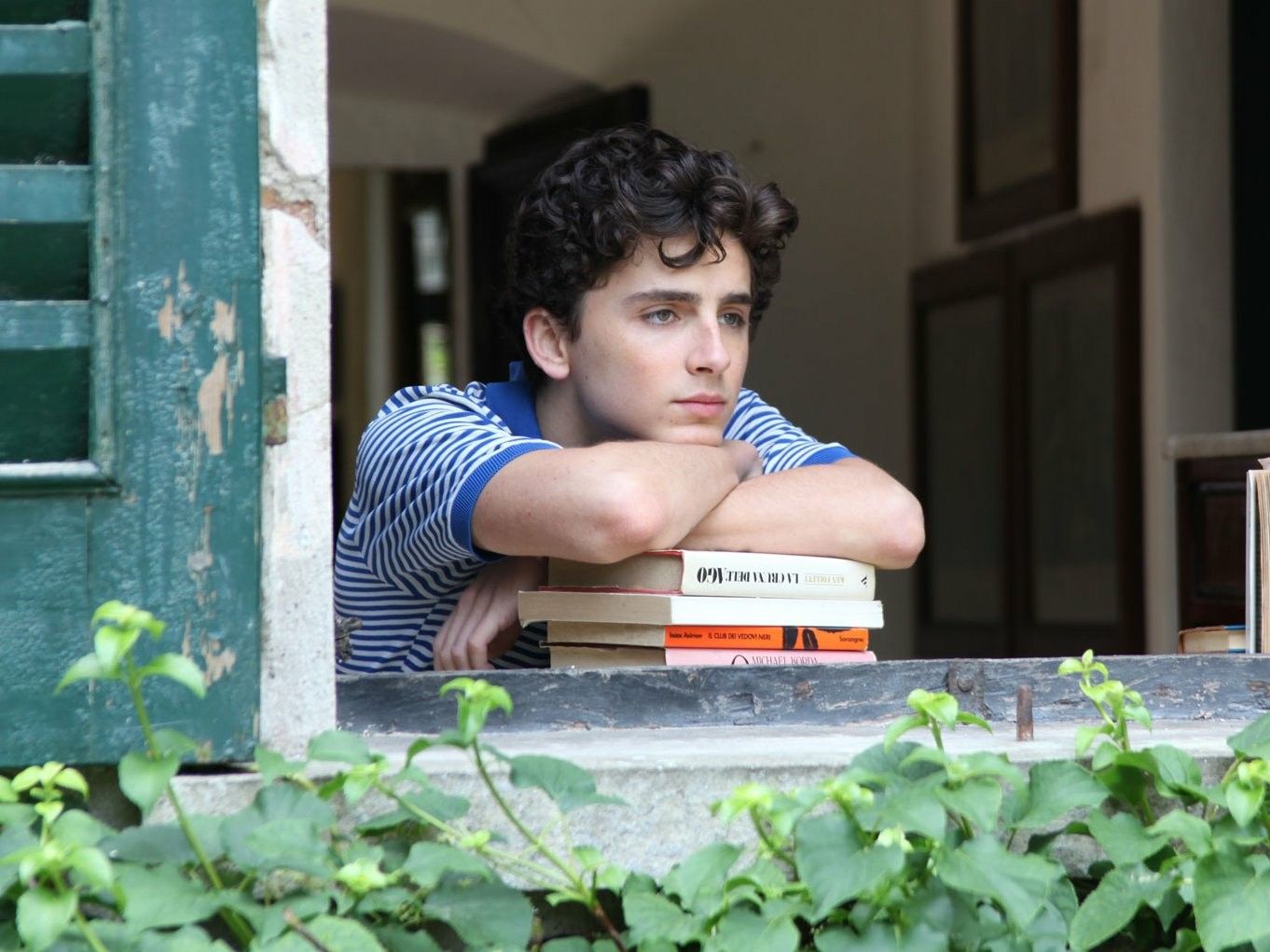 Introvert Or Extrovert Word Quiz Call Me by Your Name Timothée Chalamet thinking