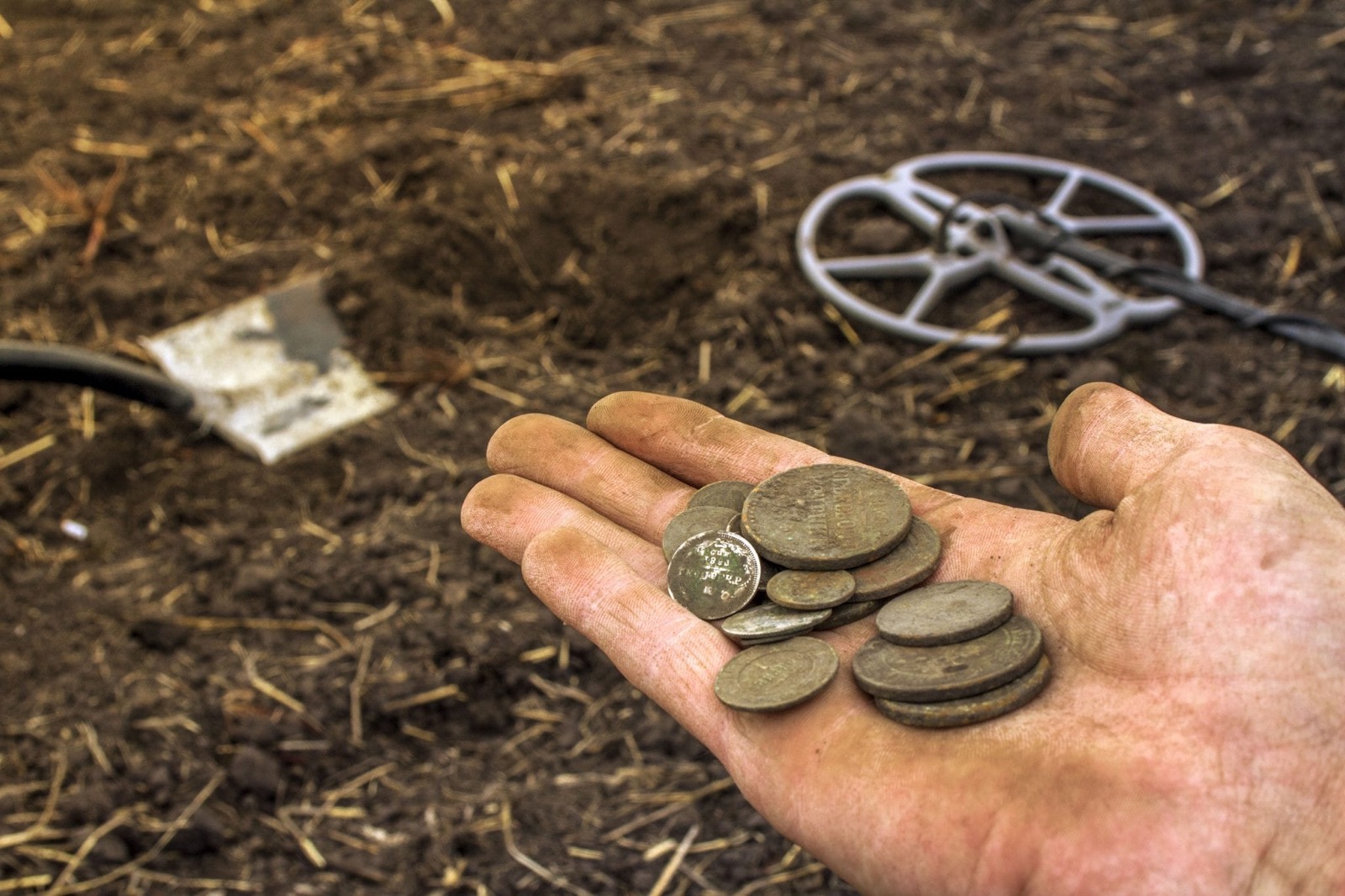 The More Questions You Get Correct Here, The More General Knowledge You Have Metal detecting