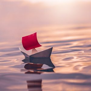 What Type Of Dolphin Are You? Quiz Writing poetry