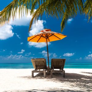 Which Winter Beverage Are You? Quiz Tropical getaway