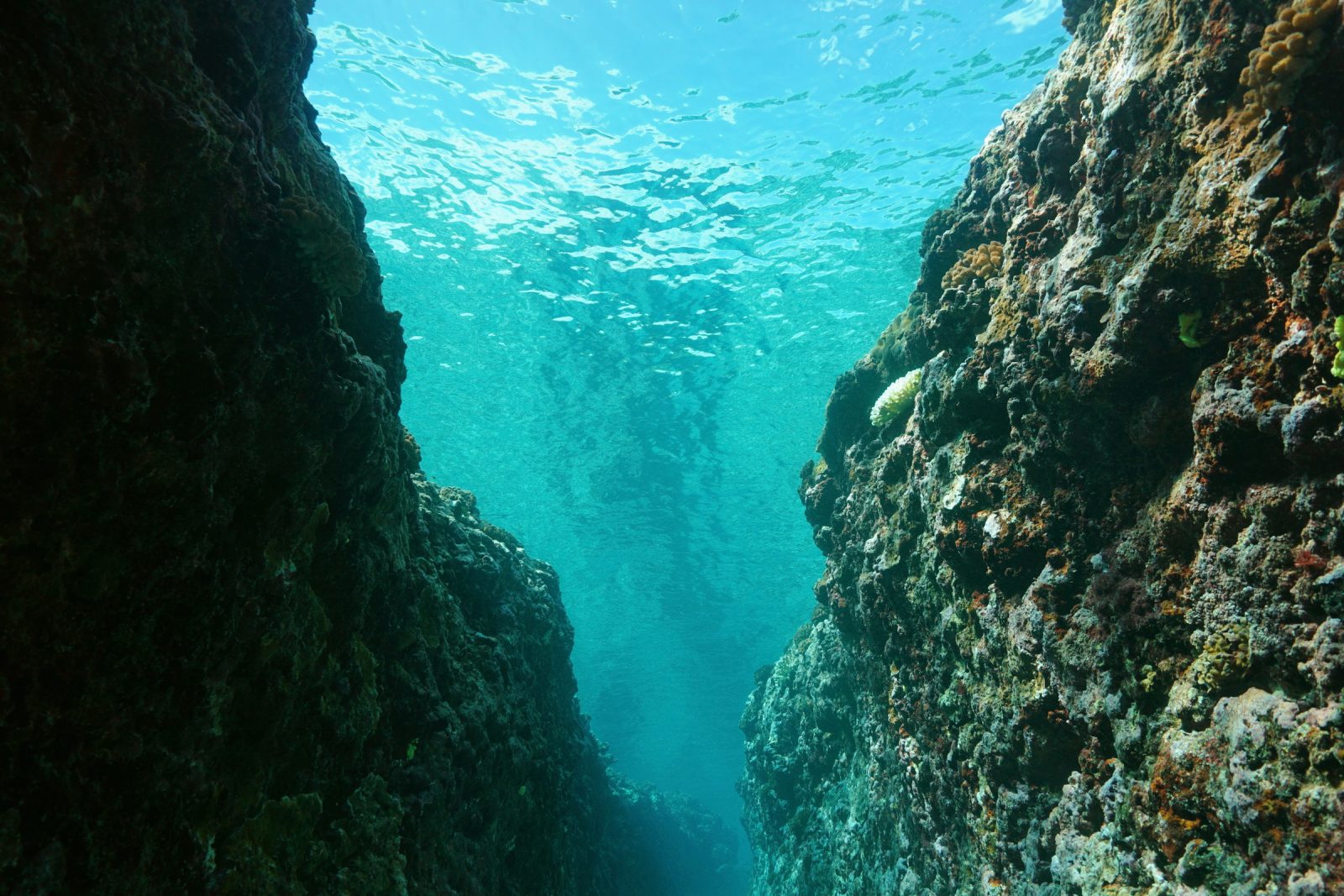 Mariana Ocean trench